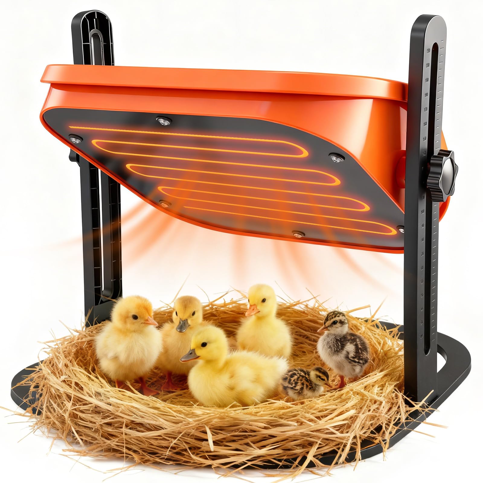 SakerNeo chick heat plate top view highlighting the warm zone for brooding.