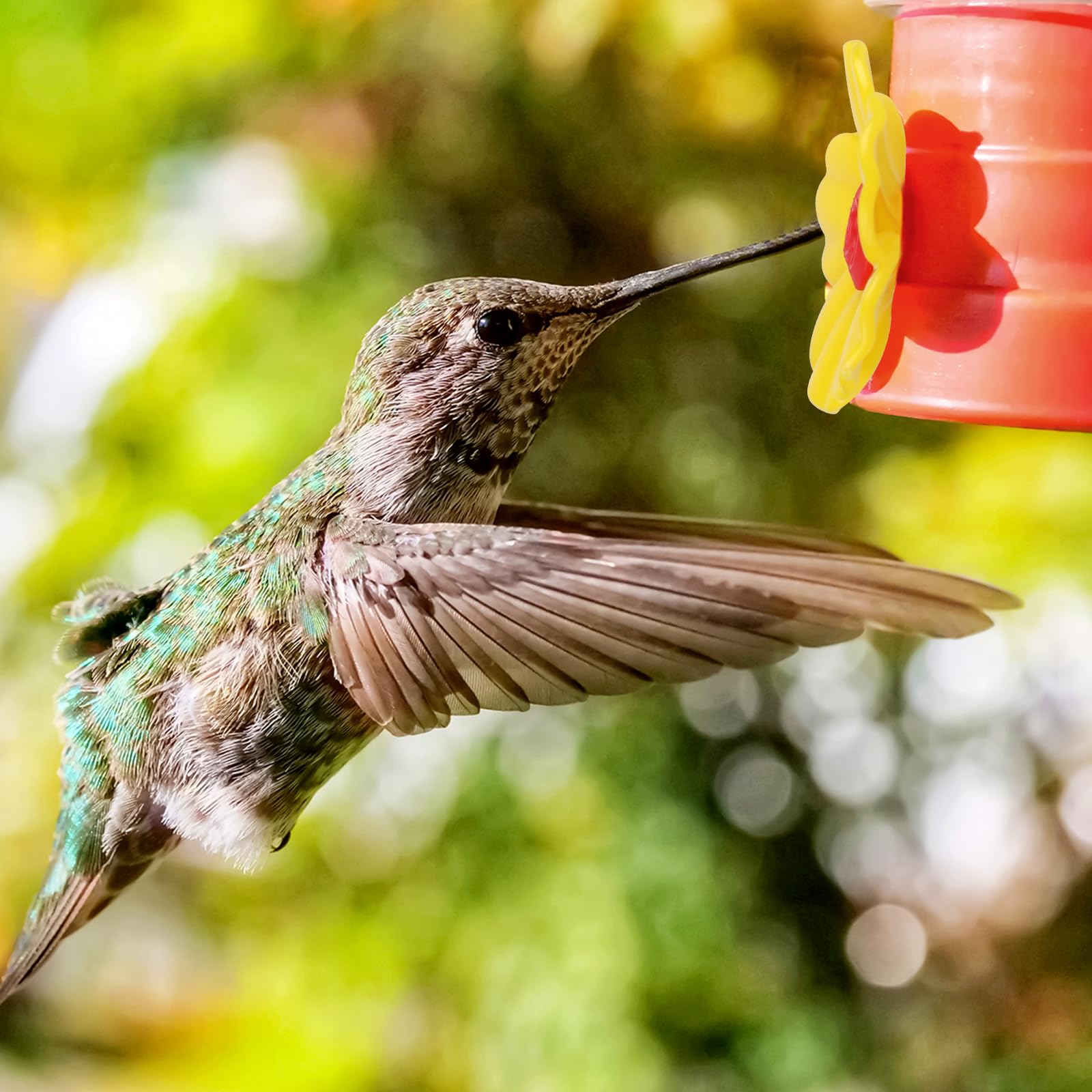 Salbsever hummingbird feeder flowers floral shape enhances natural ambiance.