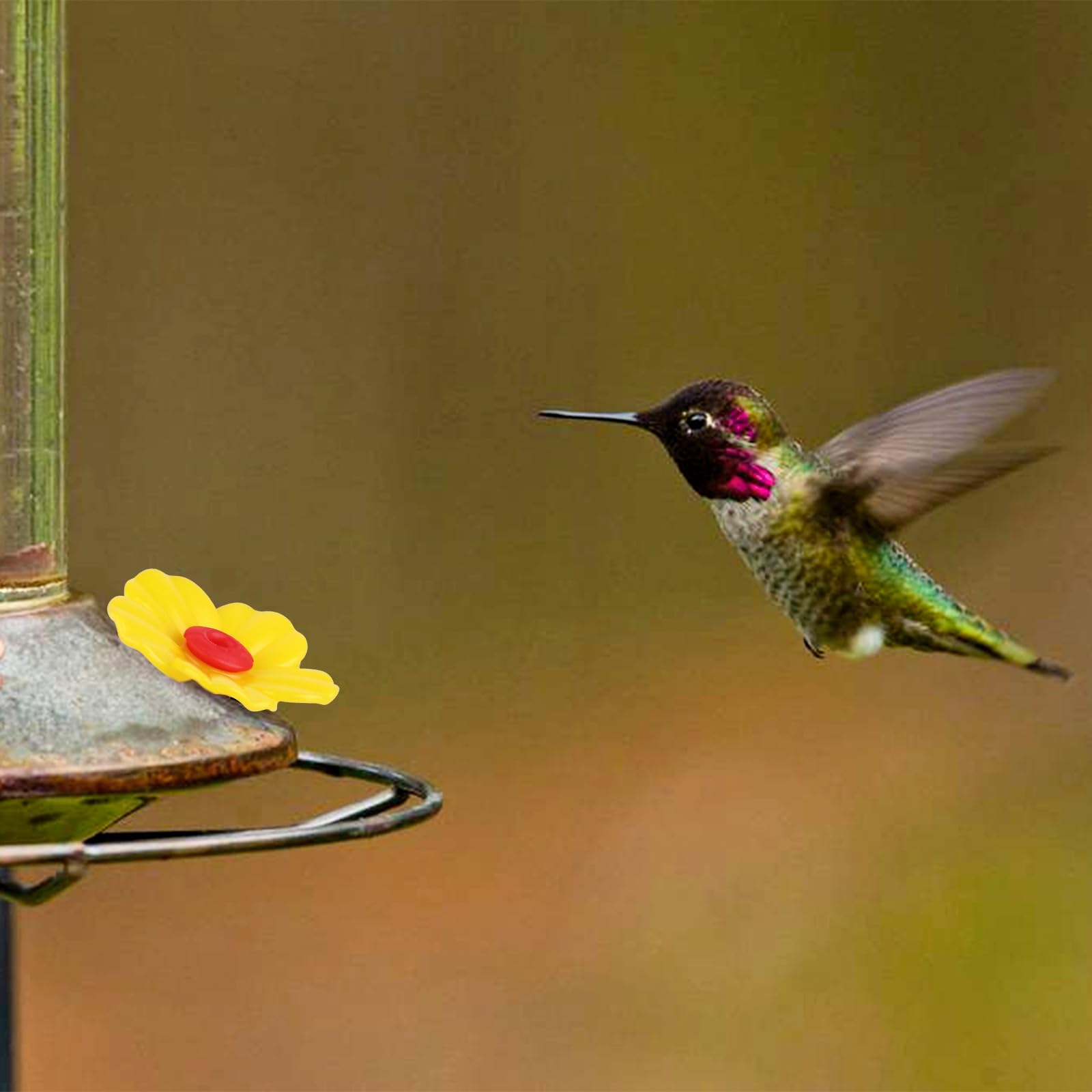 Salbsever hummingbird feeder non-slip perch provides resting spot.