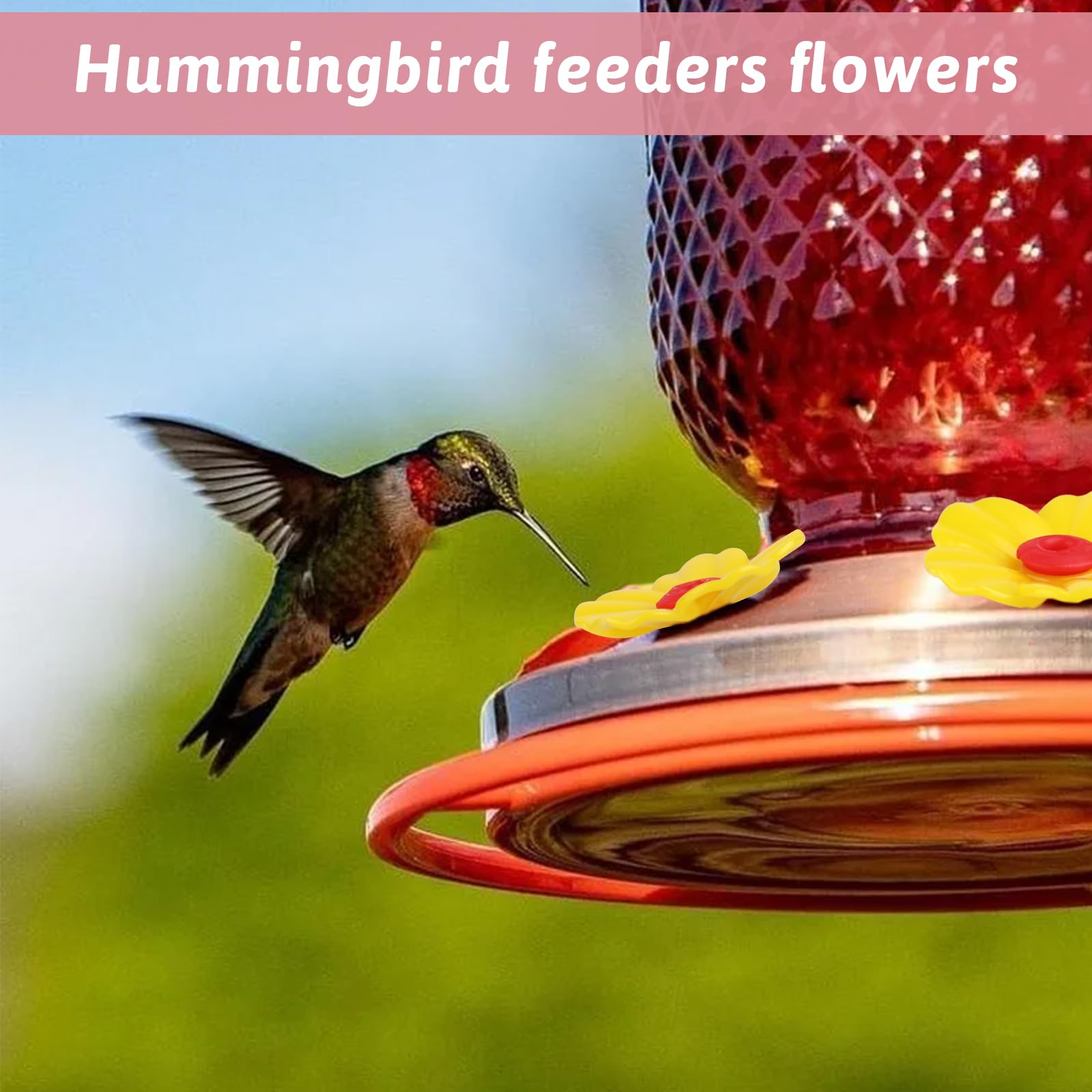Salbsever hummingbird feeder outdoor hanging use for garden or patio.