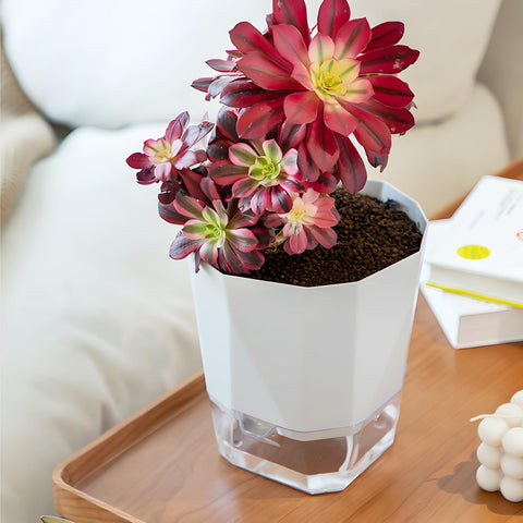 Samhe 3-pack planter set ready for gifting or multi-plant setups.