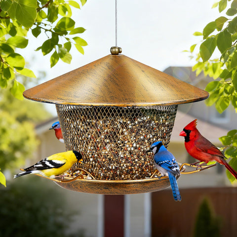 Samhe outdoor feeder attracts cardinals, finches, and more.