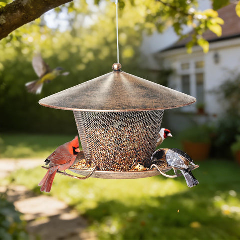 Samhe bird feeder ideal gift for bird lovers.