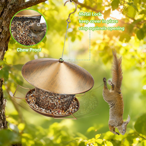 Samhe feeder with three perches invites multiple birds to feed.