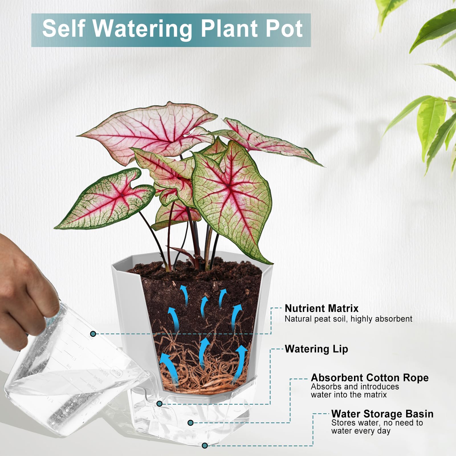 Samhe planter shows a transparent water tank for quick checks of water level.