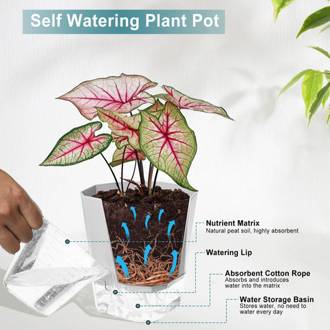 Samhe planter shows a transparent water tank for quick checks of water level.