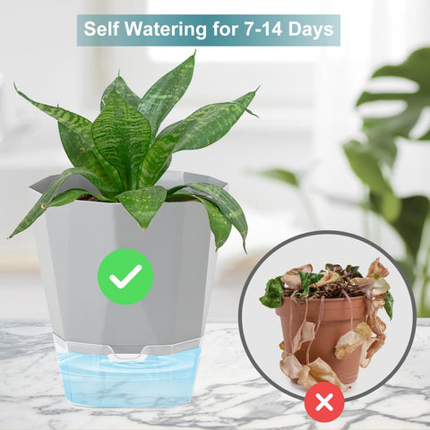 Samhe pot features wick rope system for effortless passive watering.