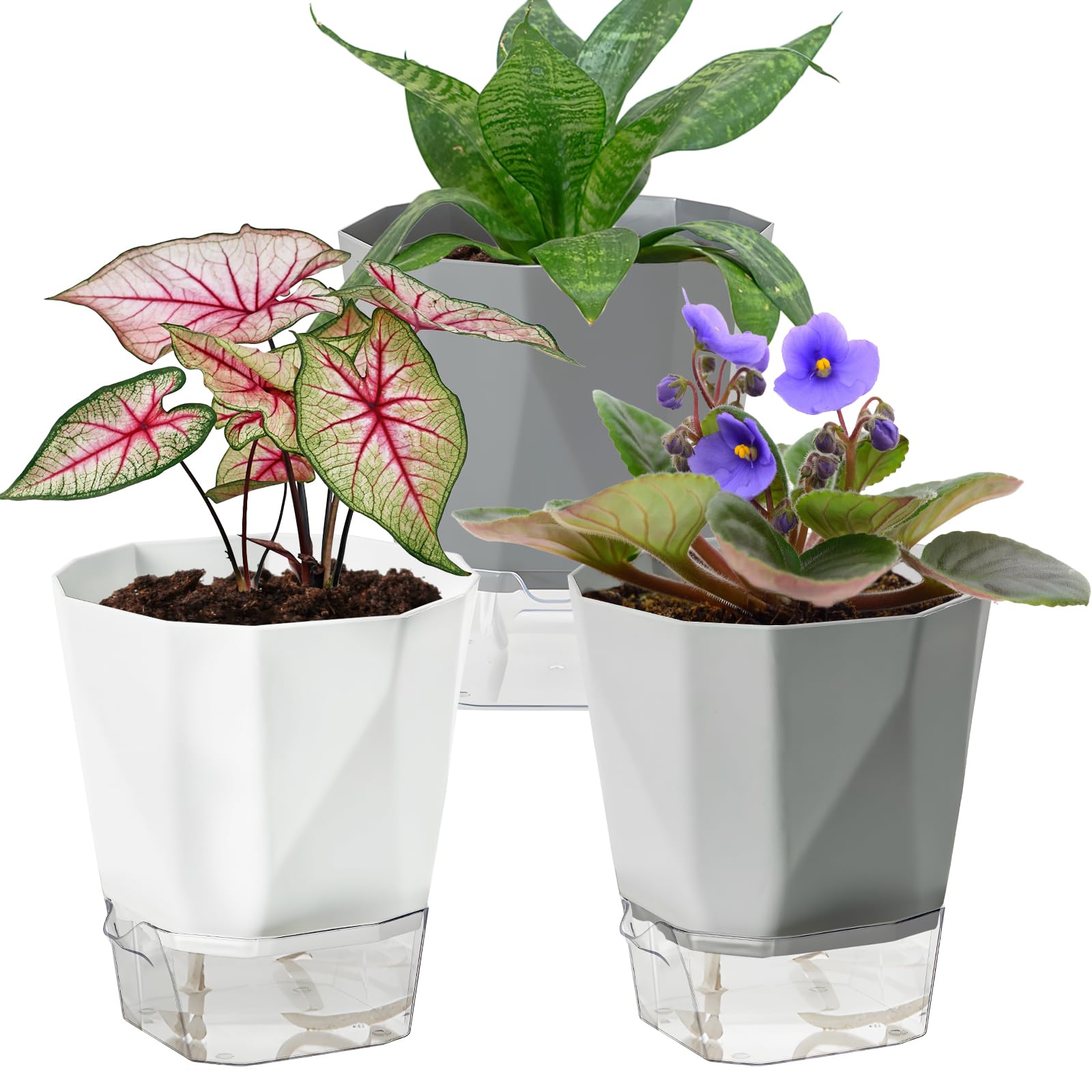 Samhe self-watering pot in white with visible reservoir for easy water monitoring.