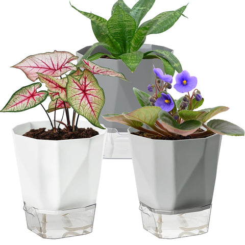 Samhe self-watering pot in white with visible reservoir for easy water monitoring.