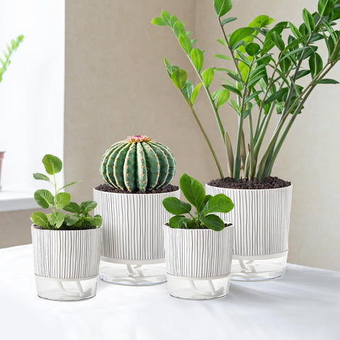 Samhe four-pot set displayed together for versatile arrangements.