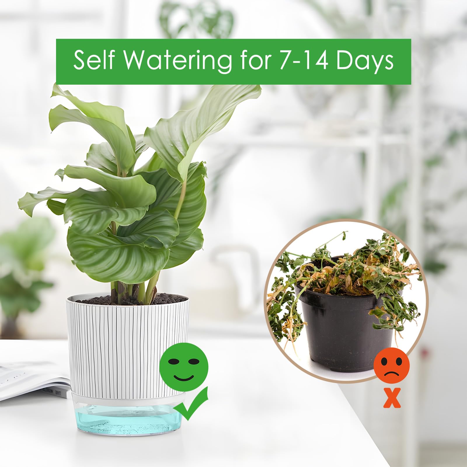 Samhe wick rope system highlights bottom-up plant hydration.