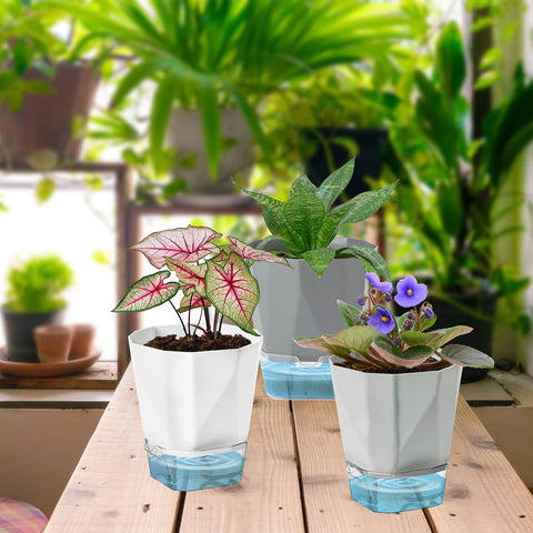 Samhe pot’s vented base promotes airflow around plant roots for health.