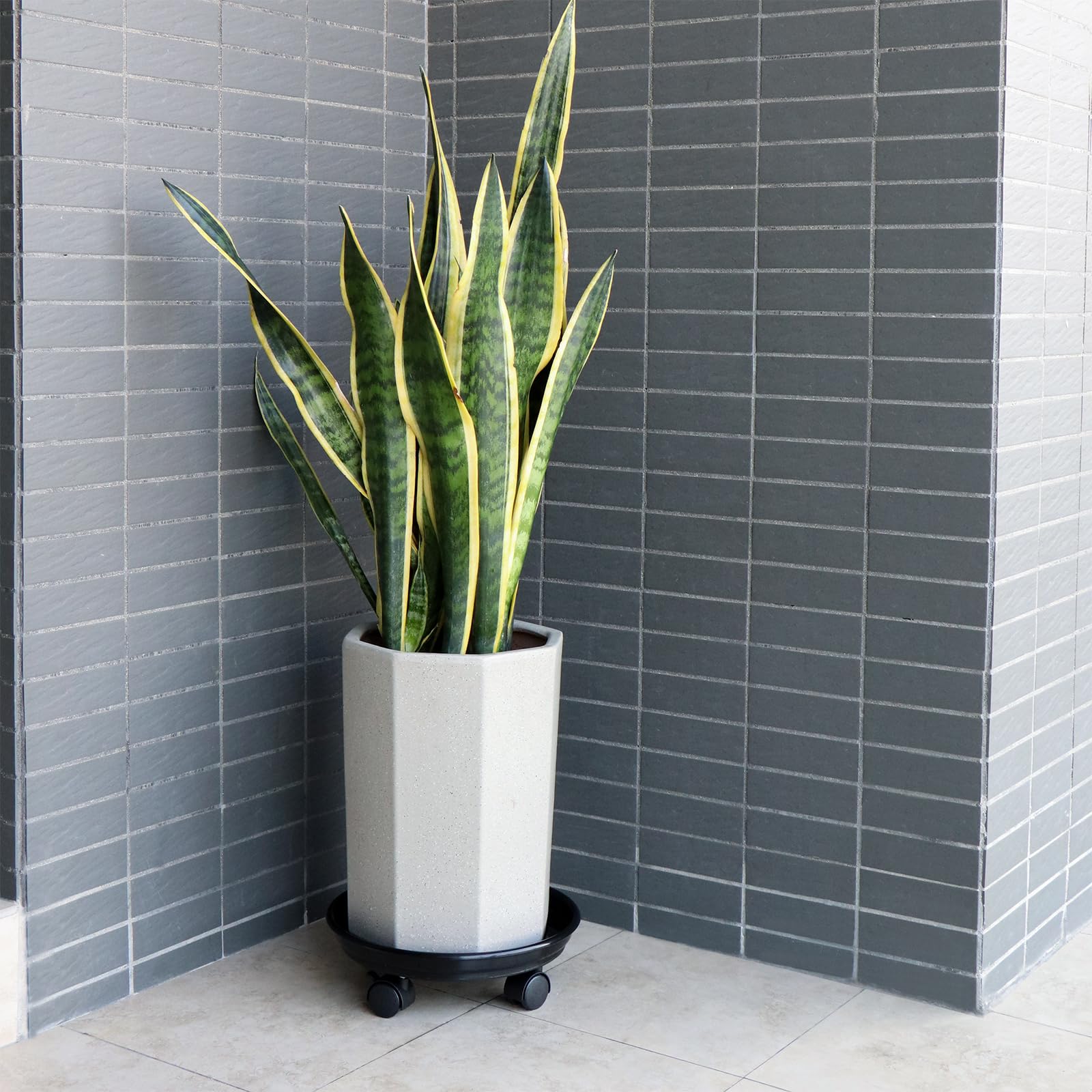 Sanbege suitable for indoor and outdoor use on various surfaces.