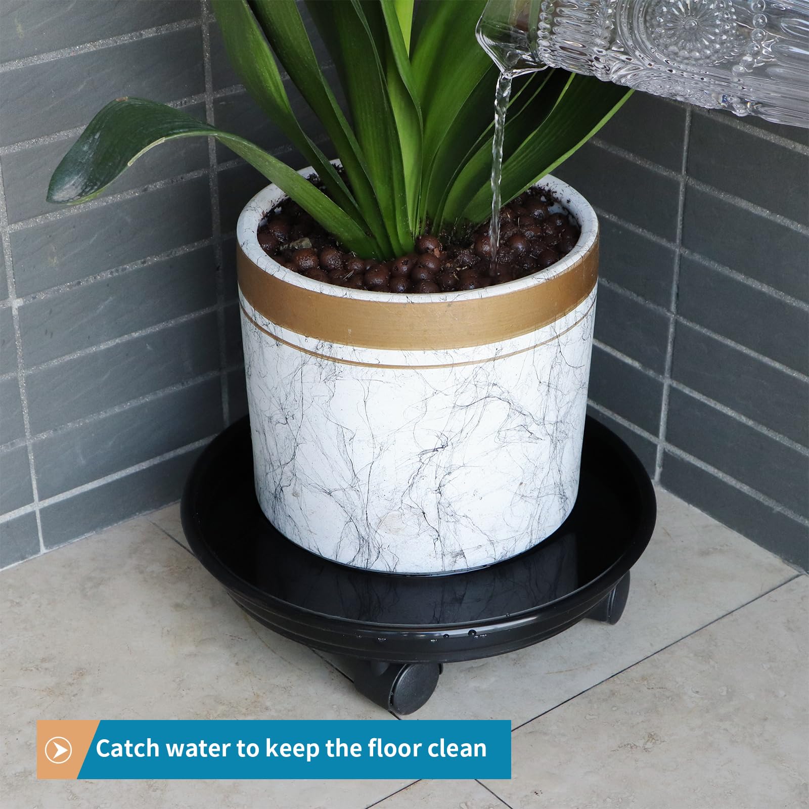 Sanbege locking wheels secure plants when placement matters.