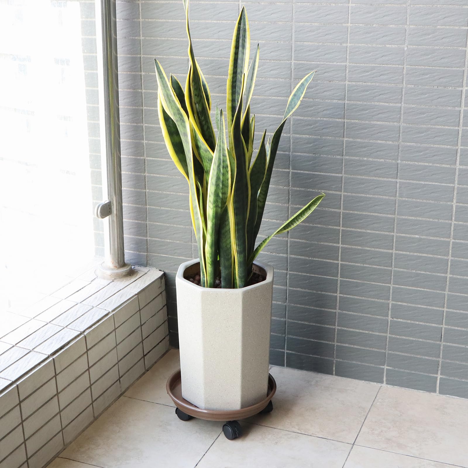Capable of supporting up to 125 pounds for heavy planters