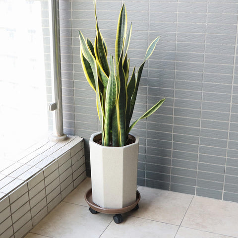Capable of supporting up to 125 pounds for heavy planters