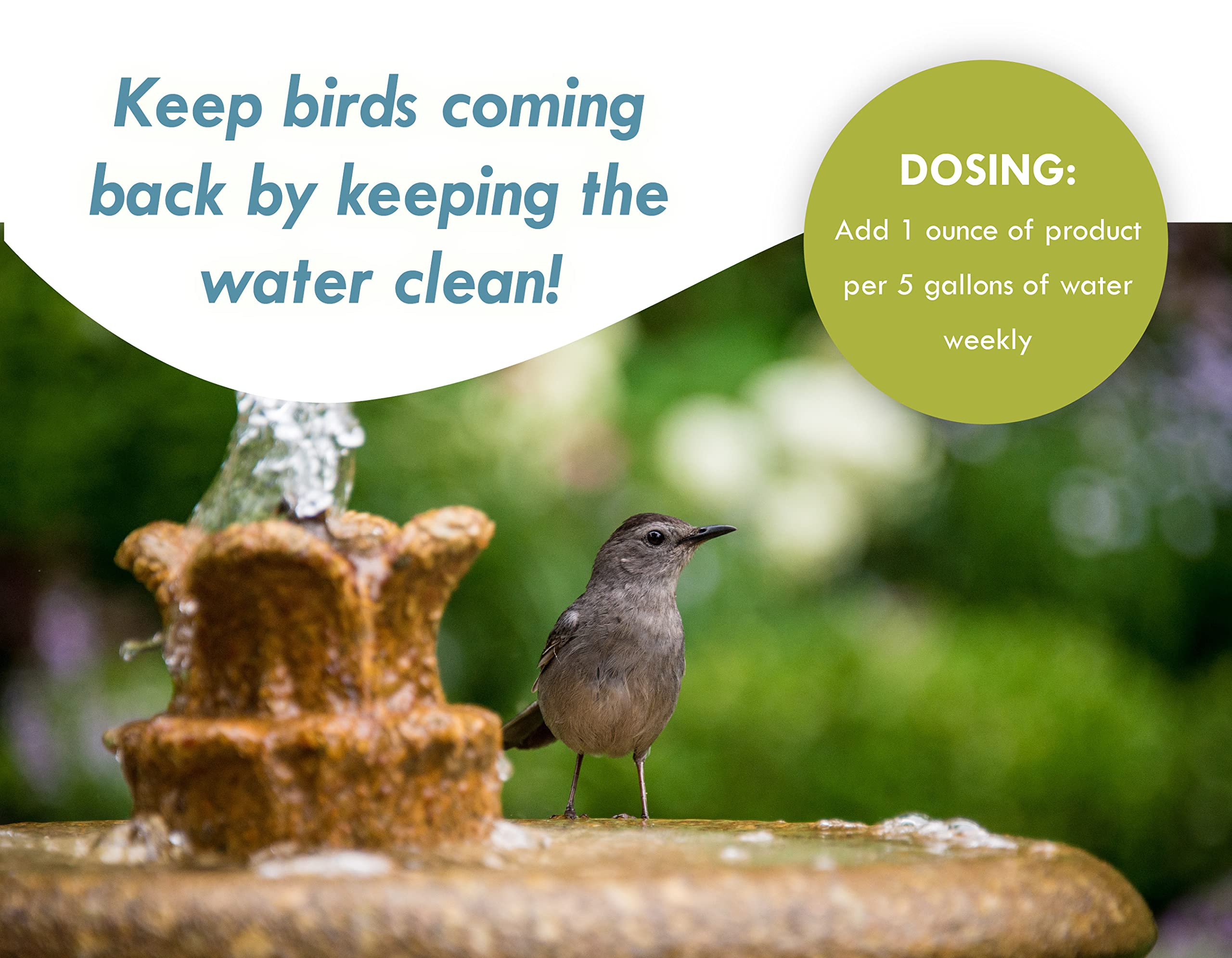 Sanco Bird Bath fountain in use promoting a balanced water ecosystem.