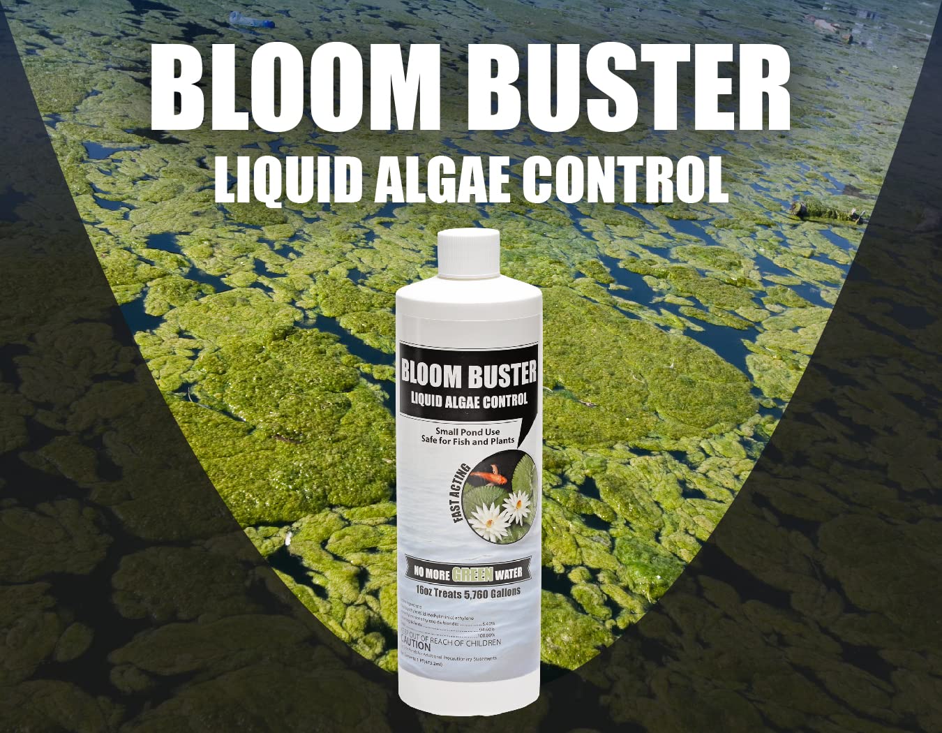 Sunlit pond scene featuring Bloom Buster and healthy aquatic life