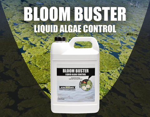 Sanco Bloom Buster dispersing in aerated water for even coverage.