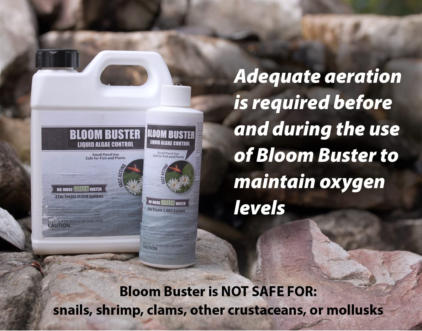 Sanco Bloom Buster targeting blue-green and filamentous algae in water features.