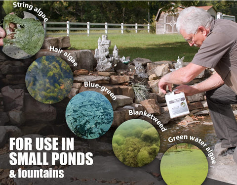 Sanco Bloom Buster dosing steps diagram showing 1/2 tsp per 30 gallons.
