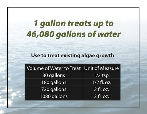 Sanco Bloom Buster in a clear water pond illustrating algae reduction.