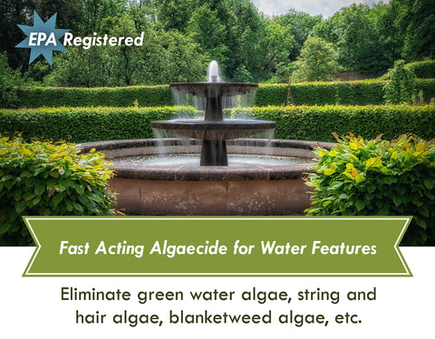 Sanco algaecide solution controls green water for clearer ornamental ponds.