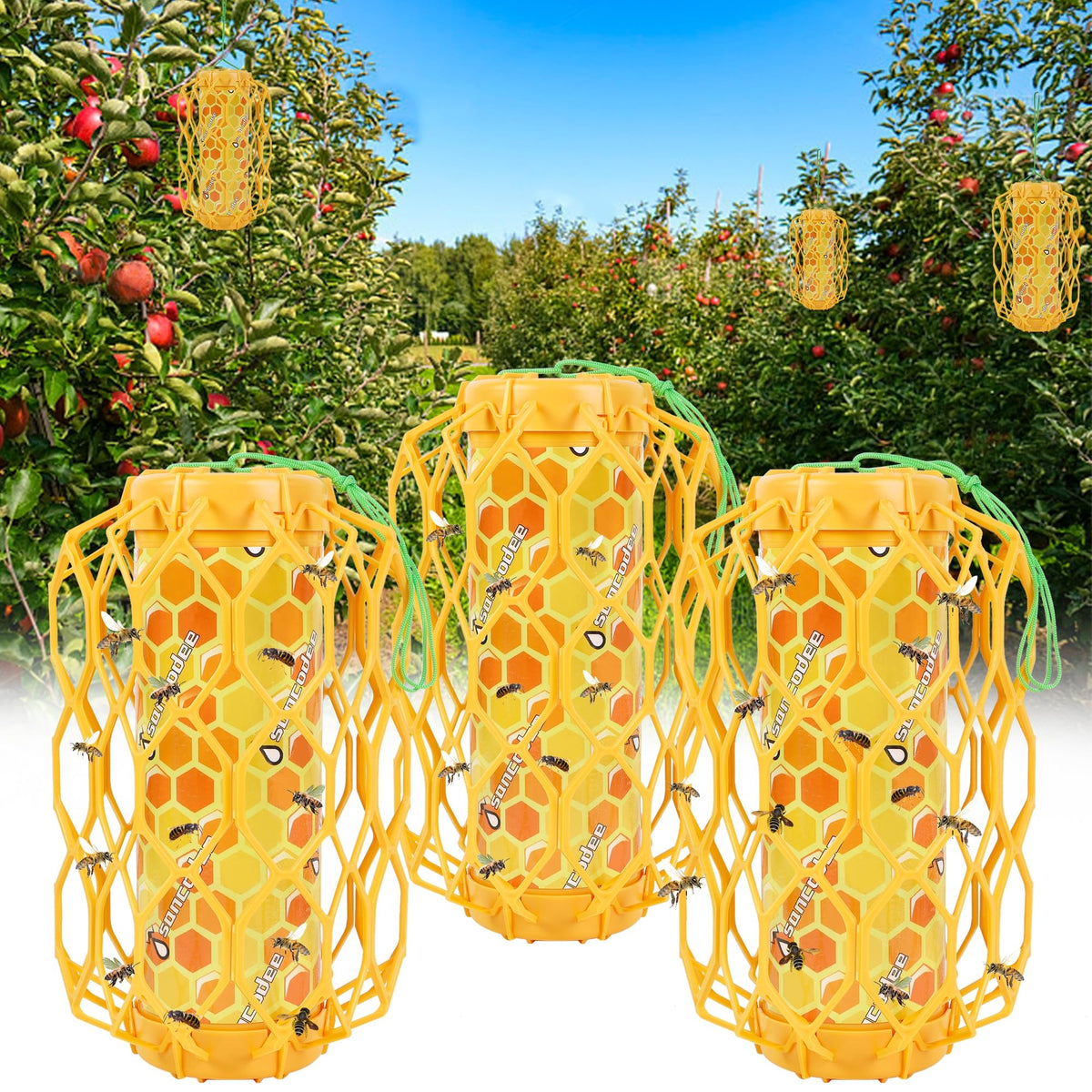 Sancodee 3-pack upgraded wasp trap outdoor hanging captures outdoor pests safely.