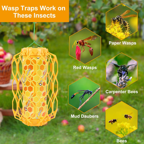 Sancodee trap with snap design uses stable mounting for outdoor setups.