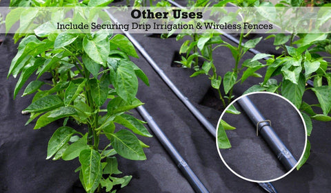 Sandbaggy 9-gauge staples provide durable sod and tarp anchoring.