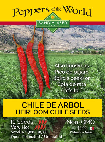 Sandia Seed Chile de Arbol fresh pods ready for sauces, tamales, or oils.