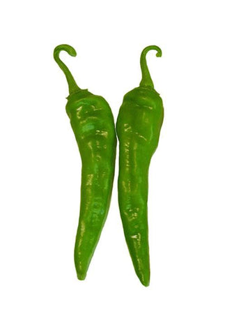 Sandia Seed Hatch Green Big Jim seeds germination tips for thriving sprouts