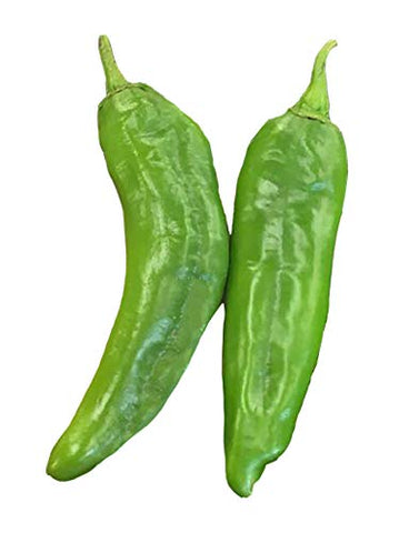 Sandia Seed Hatch Green Mild Chile garden plant growing in sunlit beds for home meals