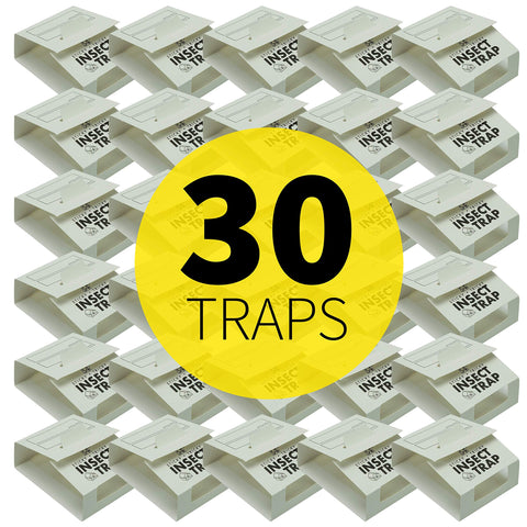 S&T INC enclosed trap folding demonstrates mess-free insect capture.
