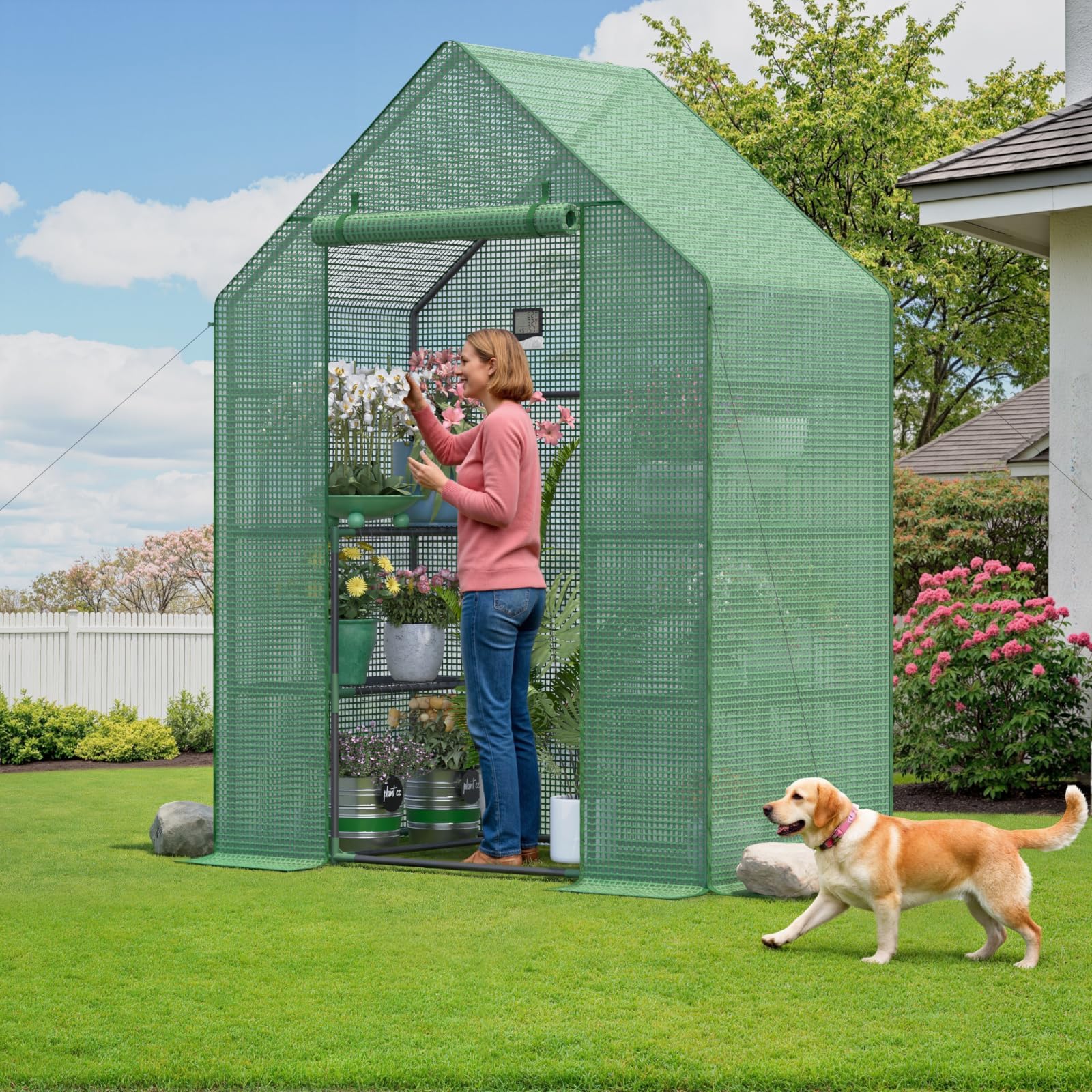 Sannwsg greenhouse weather protection maintaining humidity and indirect light