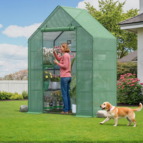 Sannwsg greenhouse weather protection maintaining humidity and indirect light