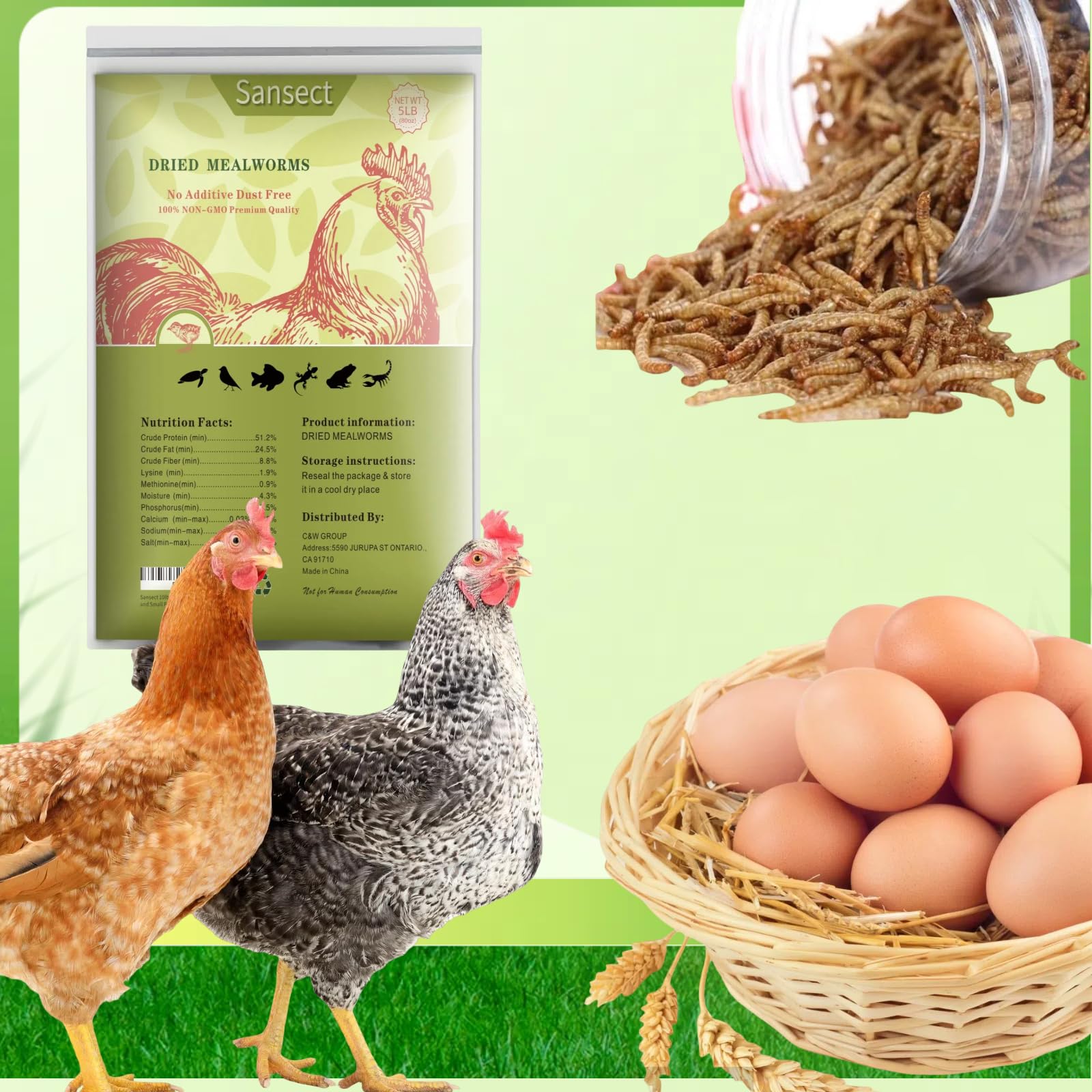 SANSECT mealworms organic-diet feed visuals suggesting natural, additive-free nutrition.