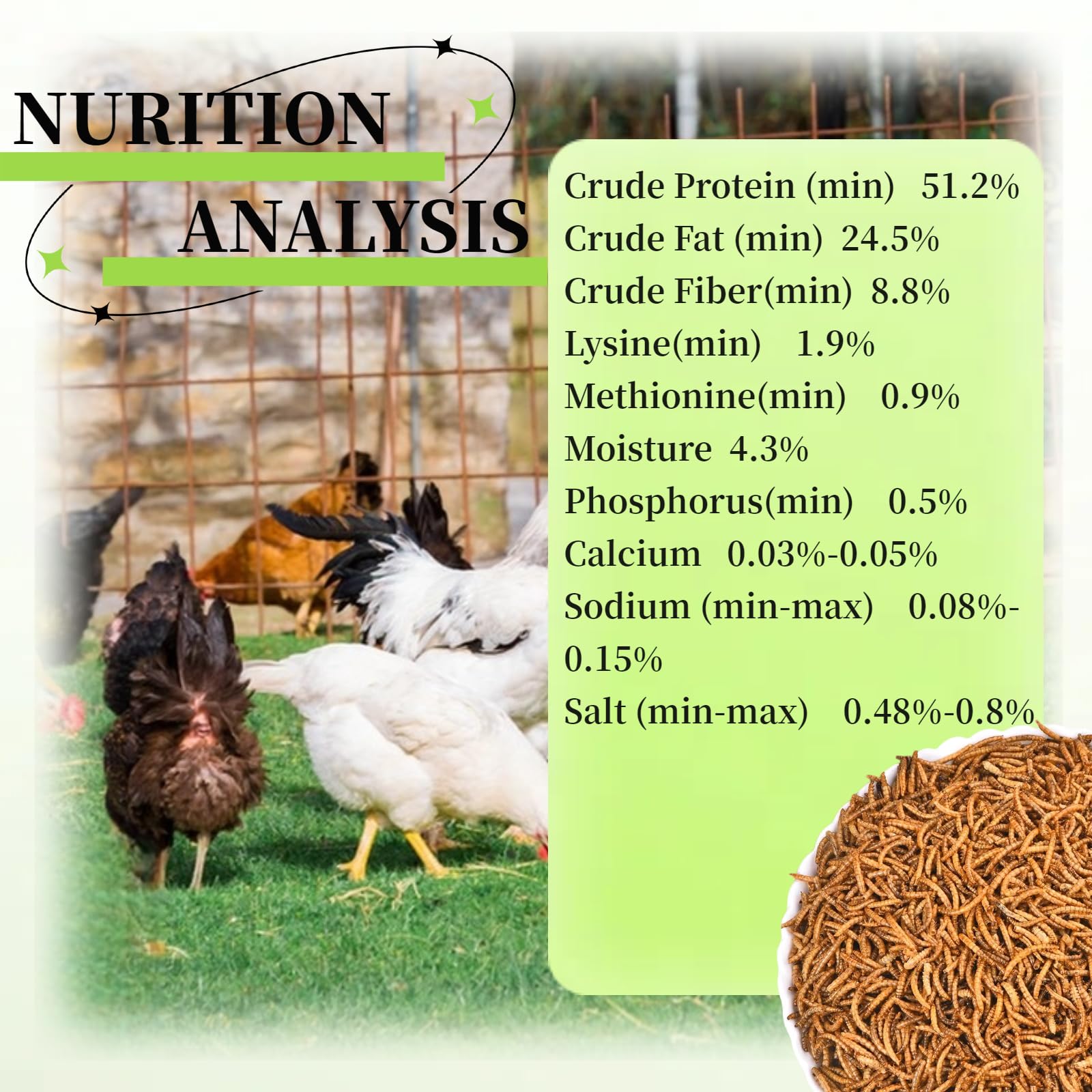 SANSECT mealworms protein-rich snack highlighting high protein content for flock health.
