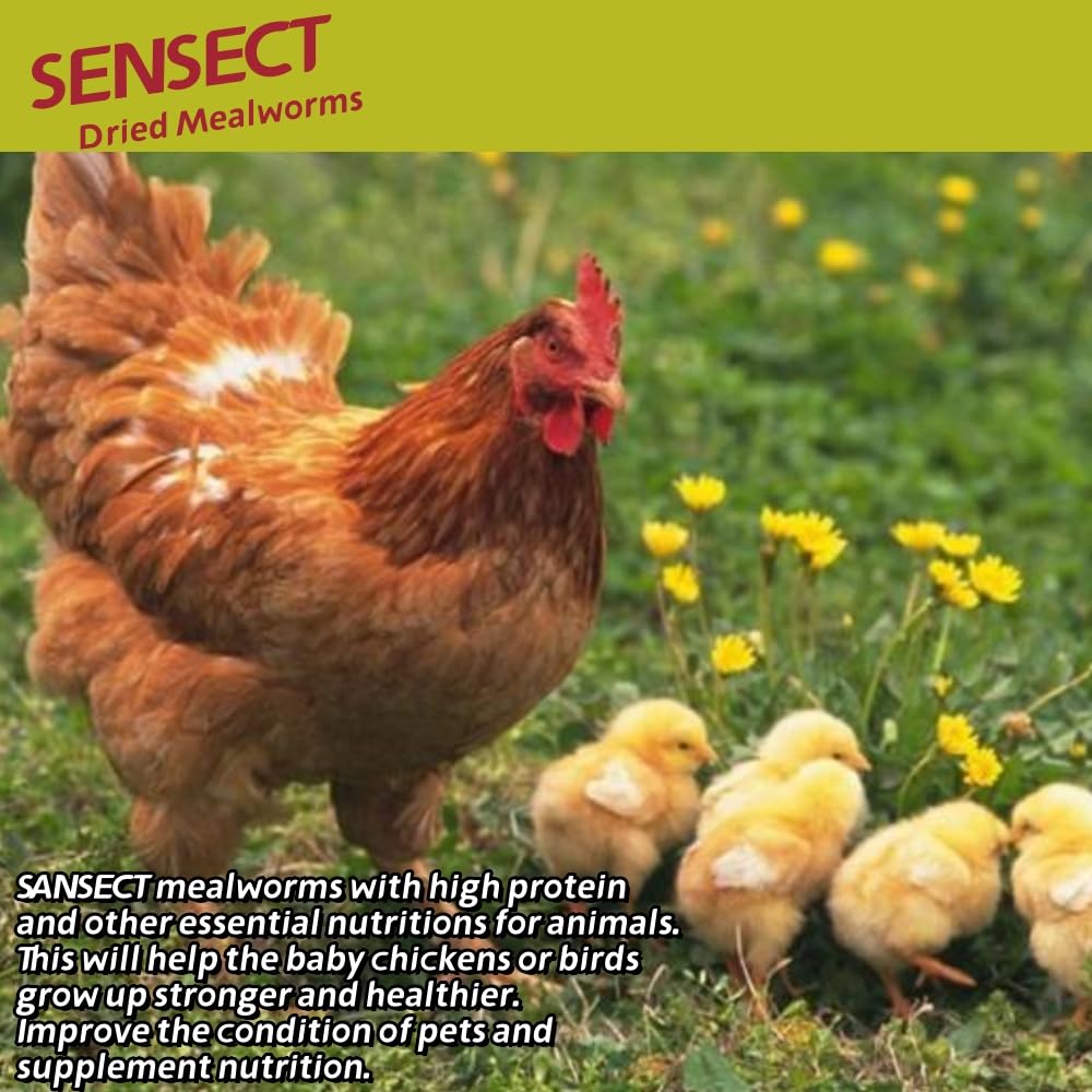 SANSECT organic-diet ingredients close-up, natural farming feed