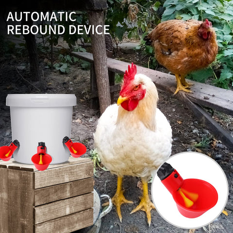 Sansheng DIY drinking system for poultry at backyard coop