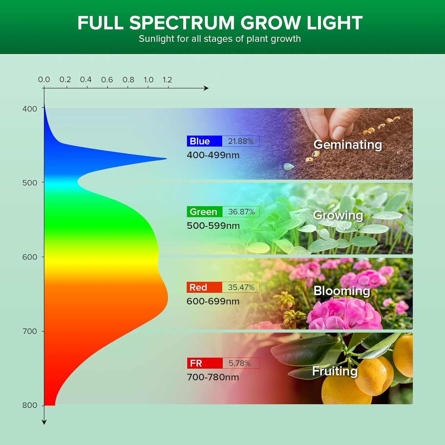 SANSI 24W full-spectrum 4000K bulb evenly lights leafy greens.