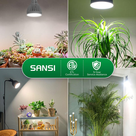 SANSI provides a 5-year after-sale service.