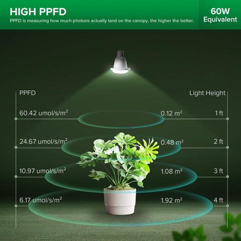 SANSI BR20 full-spectrum LED highlights leaves for steady houseplant growth.
