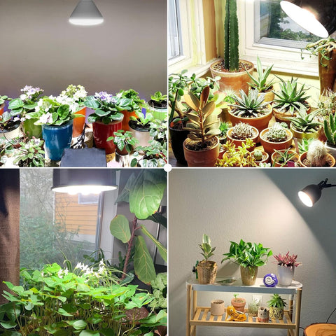 SANSI BR30 24W grow light delivers 4000K daylight for plant vitality.