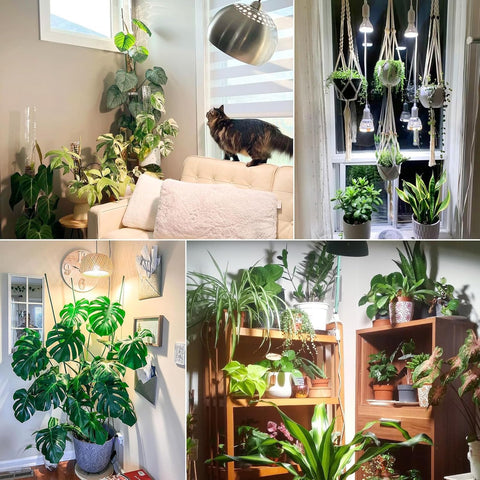 SANSI BR30 24W suitable for indoor and outdoor plant care.