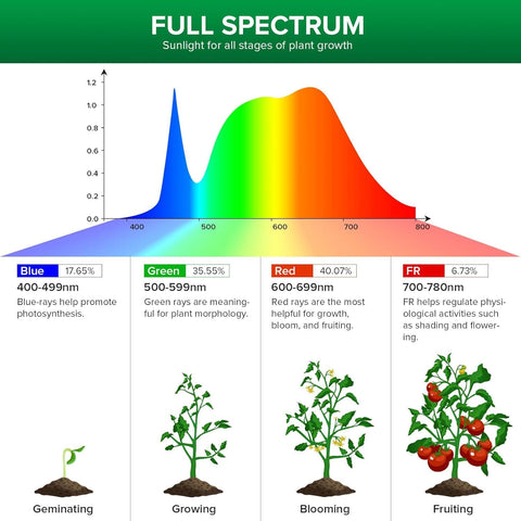 IP54-rated bulb supports indoor and outdoor plant setups.