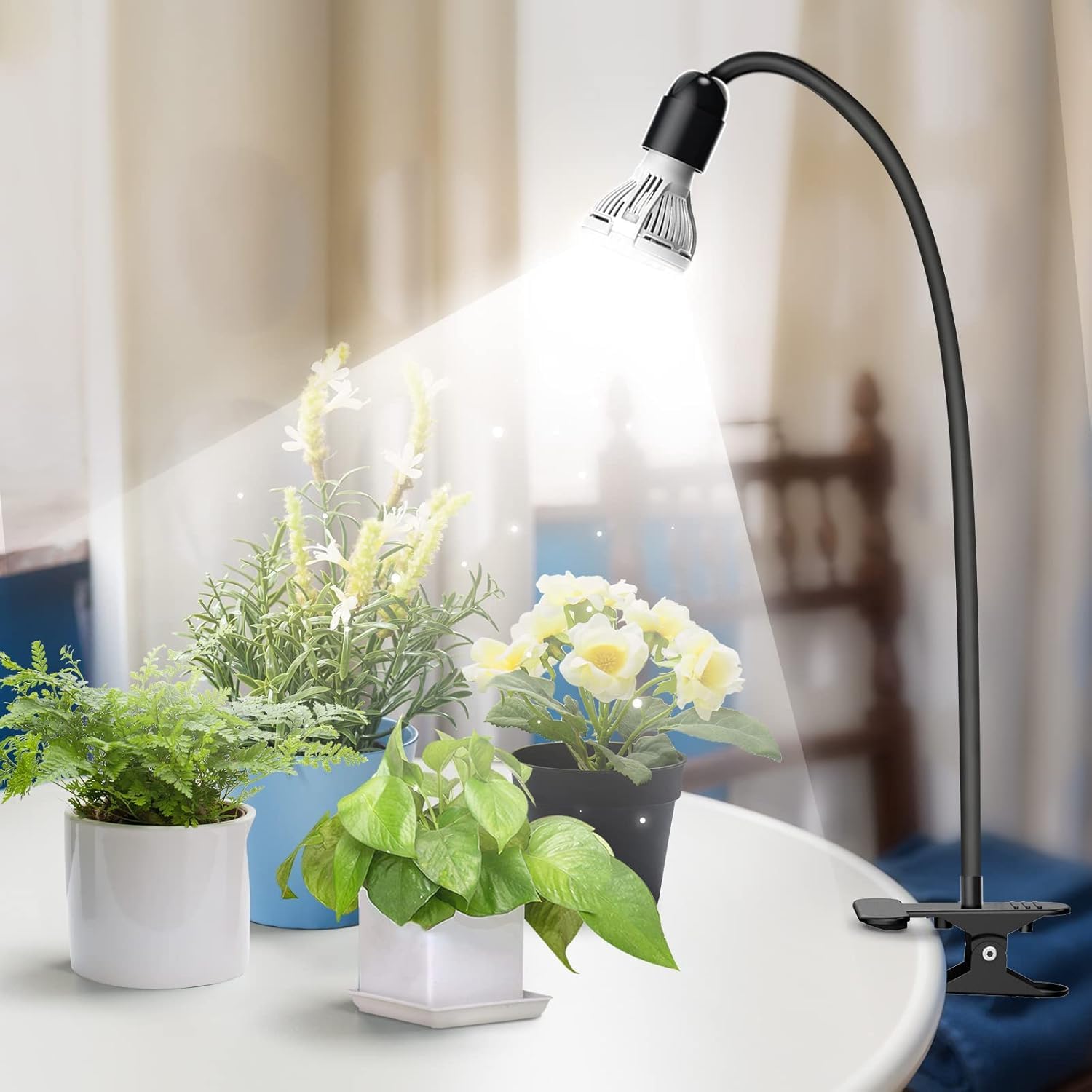 Compact desk setup using the SANSI grow light for desk plants.