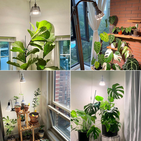 SANSI E26 base indoor plant light compatible with standard fixtures