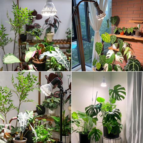 SANSI ETL CE certified grow bulb with long-term support