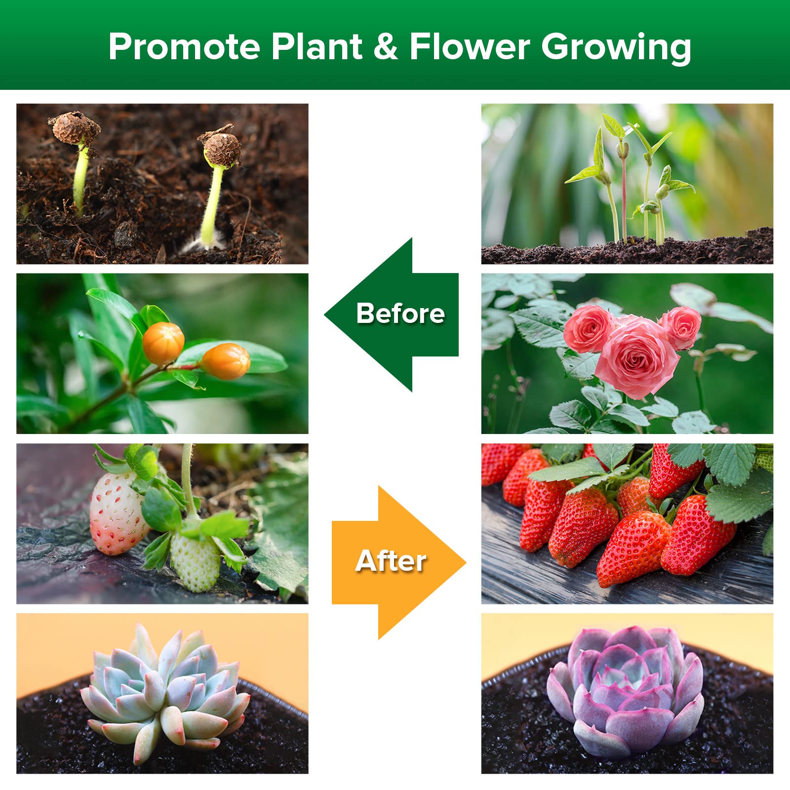 SANSI ETL-certified grow light ensures safe indoor gardening setups.